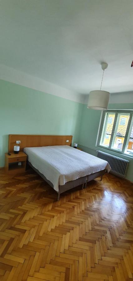 卢布尔雅那Aparthouse Macek公寓 外观 照片
